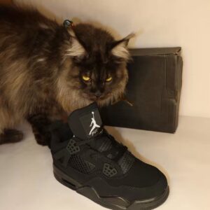 Jordan Retro 4 Cat Black