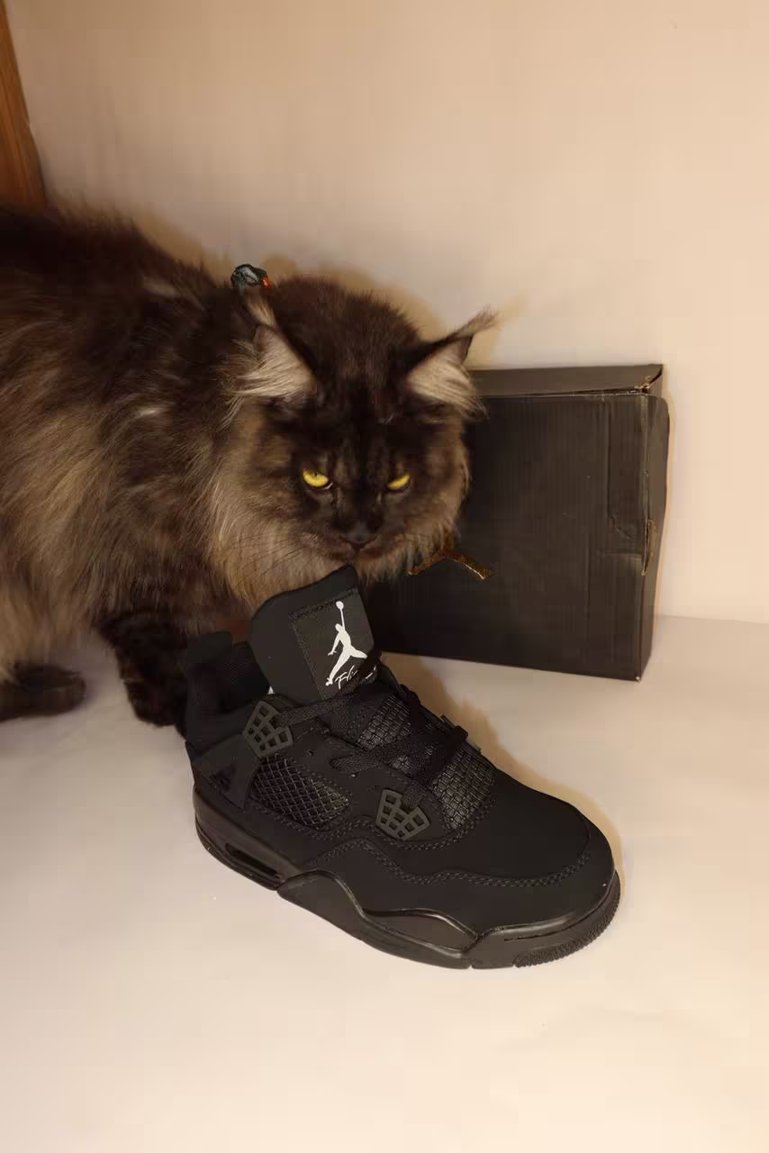 Jordan Retro 4 Cat Black